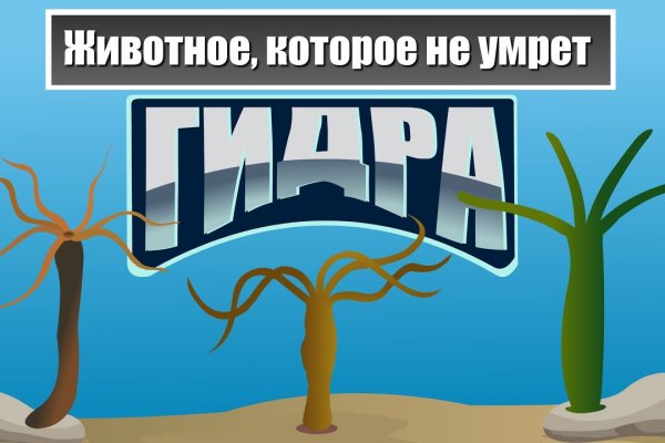 Кракен маркетплейс как зайти